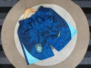Brazil fan addition short_img_0
