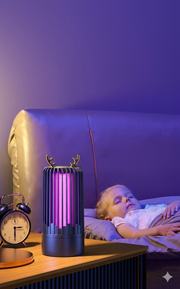 Electric Mosquito Killer Lamp_img_0