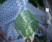 Amara Mint Lemon_img_1