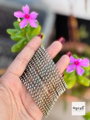 Esha Ash_img_0