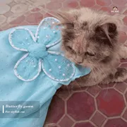 Cat butterfly gown (4 kg)_img_1