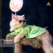 Cat panjabi (2.3 kg)_img_2