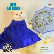 Cat frock_img_0
