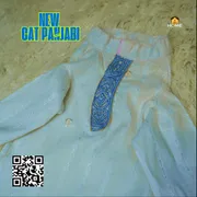 Cat panjabi (6 kg)_img_1