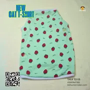 cat t-shirt (5 kg)_img_0