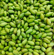 কাচা মিঠা আম_img_0