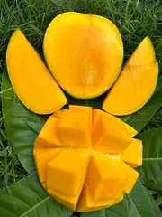 আম গোবিন্দভোগ🥭 কেমিক্যাল মুক্ত | Gobinda Mango_img_2