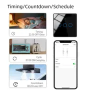 Tuya Smart Wall Switch (1–4 Gang) | App + Bluetooth + Touch + RF Remote + Regulator & Socket_img_14