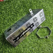 Premium SS Star Silencer Gourde For Apache RTR 160 4v_img_0
