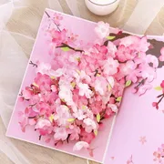 Pop-up Gift Cards + Premium Envelope_img_16