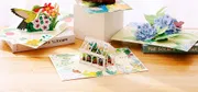 Pop-up Gift Cards + Premium Envelope_img_2