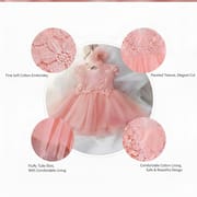 Baby Girls Soft Tulle Princess Floral Party Dress (3 to 36 months)_img_3
