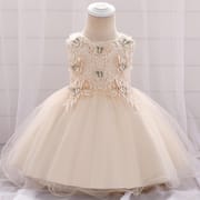 Kids Girls Elegant Princess Butterfly Embroidery Party Dress ( 6 to 24 months)_img_4