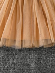 Kids Girls Princess White & Golden Tulle Party Dress (3 to 8 years)_img_6