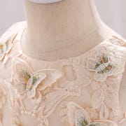 Kids Girls Elegant Princess Butterfly Embroidery Party Dress ( 6 to 24 months)_img_5