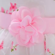 Kids Girls Floral Printed Princess Sleeveless Tulle Party Dress (2 to 6 years)_img_8