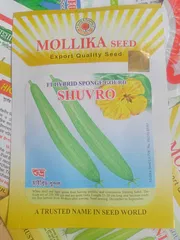 হাইব্রিড  ধুন্দল শুভ্র।  F1 Hybrid Sponge Gourd Seeds Shuvro_img_0
