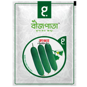 হাইব্রিড শসা বীজ কাঞ্চন। F1 Hybrid Cucumber Seeds Kanchan_img_0