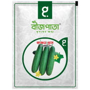 হাইব্রিড শসা বীজ কাঞ্চন প্লাস । F1 Hybrid Cucumber Seeds Kanchan plus_img_0