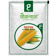 টপ গোল্ড এফ১ হাইব্রিড সুইট কর্ন বীজ।  Top Gold Sweet Corn Seed_img_0