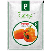অ্যাম্বার এফ১ হাইব্রিড ক্যাপসিকাম বীজ। Amber F1 Hybrid Capsicum Seeds_img_0