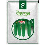 আইকন শসা বীজ Icon Cucumber Seed_img_0