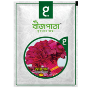 আর এম প্রিমিয়াম লালশাক বীজ RM Premium Red Spinach Seed_img_0
