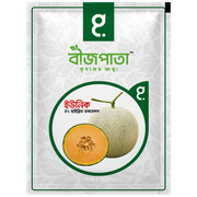 ইউনিক রকমেলন বীজ Unique Rockmelon Seed_img_0