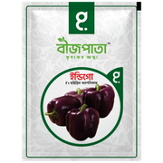 ইন্ডিগো এফ১ হাইব্রিড ক্যাপসিকাম বীজ। Indigo F1 Hybrid Capsicum Seeds_img_0