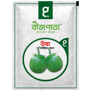 ঊষা এফ১ হাইব্রিড বেগুন বীজ। Usha F1 Hybrid Brinjal Seeds_img_0