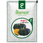 কাবুল ১ এফ১ হাইব্রিড মিষ্টিকুমড়া বীজ। Kabul 1 F1 Hybrid Pumpkin Seeds_img_0