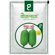 কিউট বেবি এফ১ হাইব্রিড চালকুমড়া বীজ। Cute Baby F1 Hybrid Rice Pumpkin Seeds_img_0