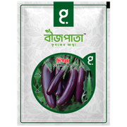 দিগন্ত এফ১ হাইব্রিড বেগুন৷ Diganta F1 Hybrid Eggplant_img_0