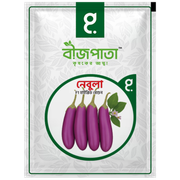 নেবুলা এফ১ হাইব্রিড বেগুন বীজ৷ Nebula F1 Hybrid Brinjal Seeds_img_0