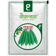 মারওয়া ঝিঙা বীজ Marwa Luffa Seed_img_0