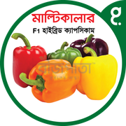 মাল্টিকালার এফ১ হাইব্রিড ক্যাপসিকাম বীজ। Multicolor F1 Hybrid Capsicum Seeds_img_0