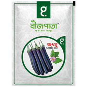 রংধনু বেগুন বীজ Rongdhonu Brinjal / Eggplant Seed_img_0