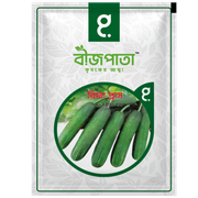 রিফা প্লাস শসা বীজ Rifa Plus Cucumber Seed_img_0