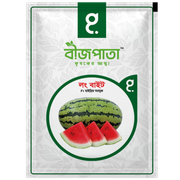 লং বাইট তরমুজ বীজ Long Bite Watermelon Seed_img_0