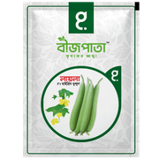 লায়লা ধুন্দুল বীজ Laila Sponge Gourd Seed_img_0