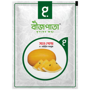 সান গোল্ড তরমুজ বীজ Sun Gold Watermelon Seed_img_0