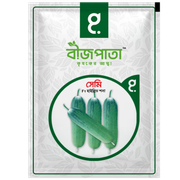 সেমি শসা বীজ Semi Cucumber Seed_img_0