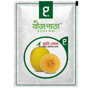 হানি গোল্ড এফ১ হাইব্রিড হানিডিউ মেলন Honey Gold F1 Hybrid Honeydew Melon_img_0