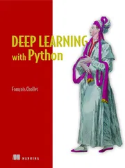 Deep Learning with Python Book by François Chollet_img_0