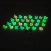Luminous Duck 10 pis_img_2