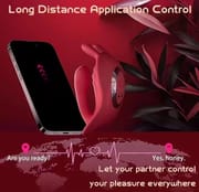 Couples App Remote Control Wearable Panty Vibrator Masturbation Tool with Rabbit Stimulator for G Spot Clitoral Penis Pleasure_img_2