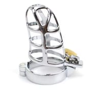 Metal Male Chastity Devices Hollow Cock Cage Penis Ring Sleeve Lockable Sex Toy for Men Bird Chastity Cage Bird Device For Adult_img_2