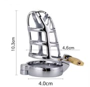 Metal Male Chastity Devices Hollow Cock Cage Penis Ring Sleeve Lockable Sex Toy for Men Bird Chastity Cage Bird Device For Adult_img_6