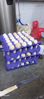 organic/Desi chicken .Egg._img_3