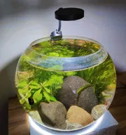 Planted cristal jar_img_0